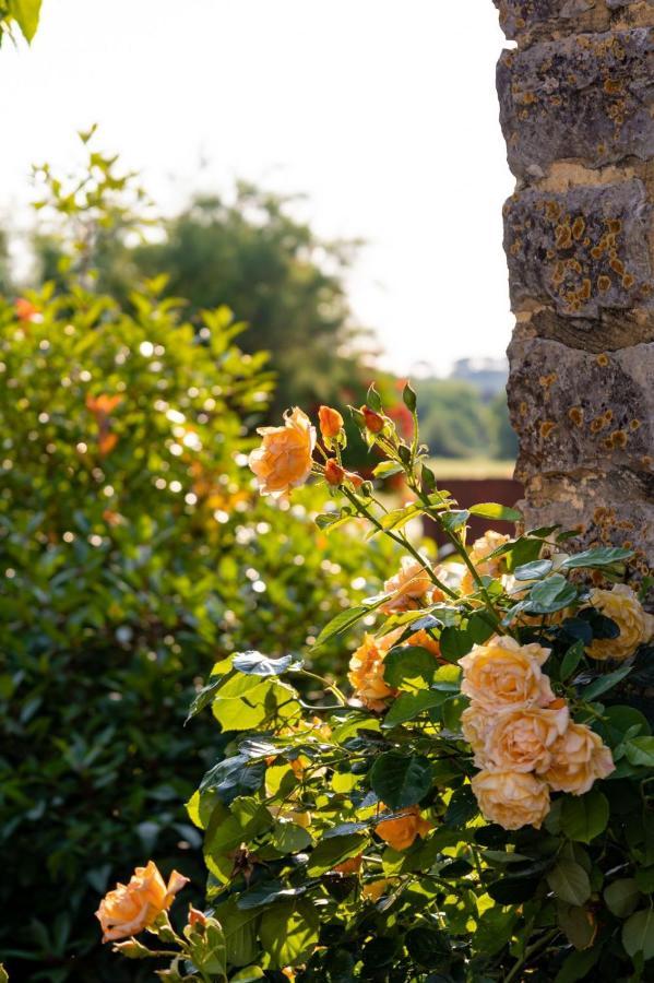 Bed and Breakfast Les P'Tits Velos Chandolas Екстер'єр фото