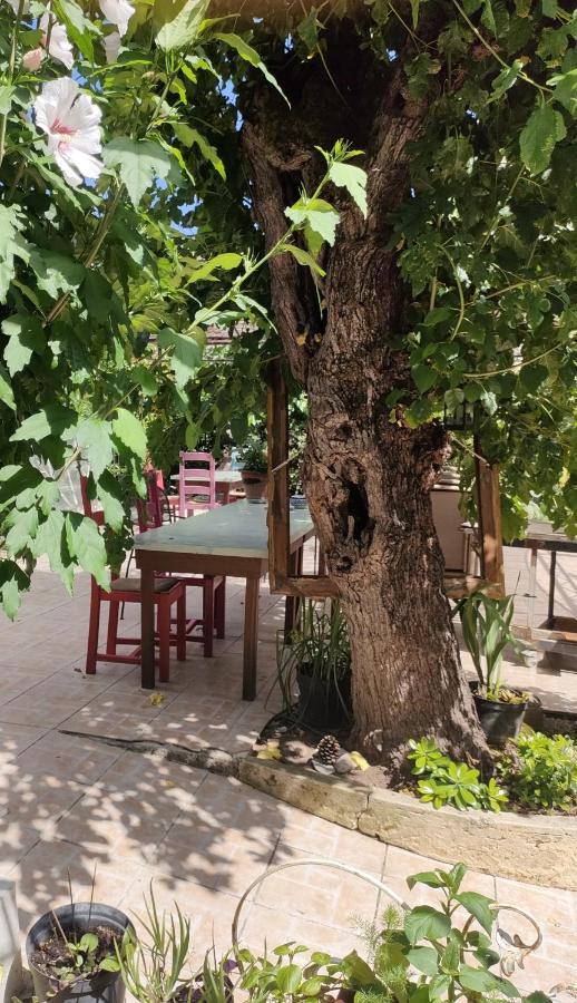 Bed and Breakfast Les P'Tits Velos Chandolas Екстер'єр фото